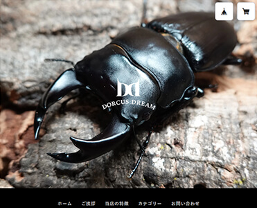 Dorcus Dream新規制作サムネイル